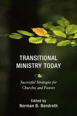 Transitional Ministry Today: Successful Strategies for Churches and Pastors by Bendroth, Norman B.