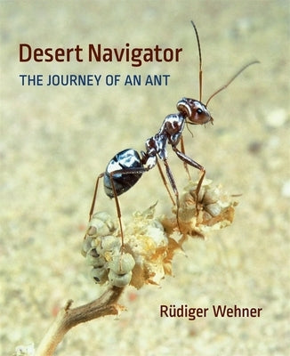 Desert Navigator: The Journey of an Ant by Wehner, Rüdiger