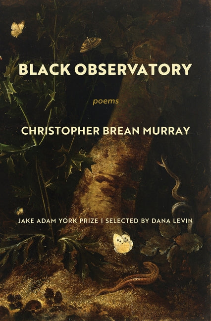 Black Observatory: Poems by Brean Murray, Christopher