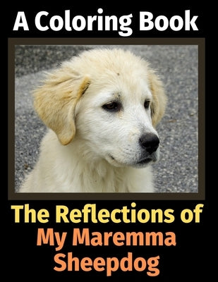 The Reflections of My Maremma Sheepdog: A Coloring Book by Activity Books, Brightview
