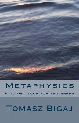 Metaphysics: A guided tour for beginners by Bigaj, Tomasz