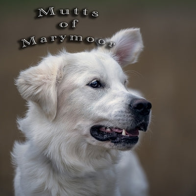 Mutts of Marymoor: By Michael J. Magee by Magee, Michael J.