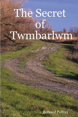 The Secret of Twmbarlwm by Palfrey, Bernard