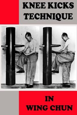 Knee kicks technique in Wing Chun by Neskorodev, Semyon