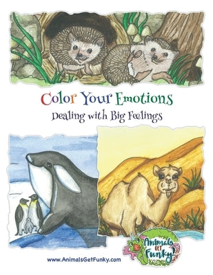 Color Your Emotions: Dealing with Big Feelings by Dumont, Amanda
