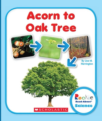 Acorn to Oak Tree (Rookie Read-About Science: Life Cycles) by Herrington, Lisa M.