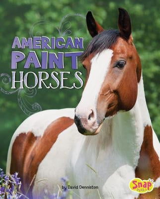 American Paint Horses by Denniston, David