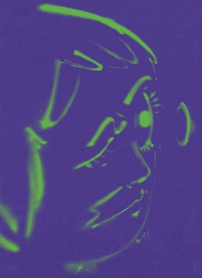 Hoda Kashiha: Slipping on Fragmented Shapes by Kashiha, Hoda