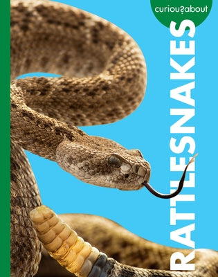 Curious about Rattlesnakes by Grack, Rachel