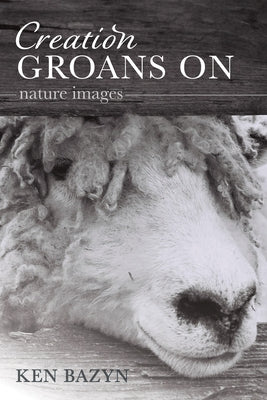 Creation Groans On by Bazyn, Ken