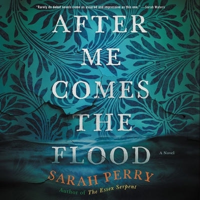After Me Comes the Flood by Perry, Sarah