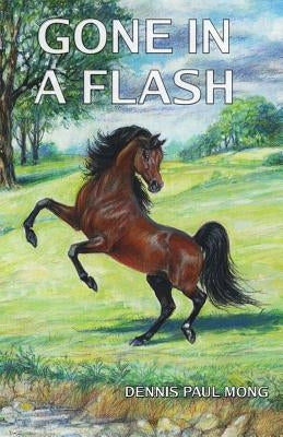 Gone in a Flash by Mong, Dennis Paul