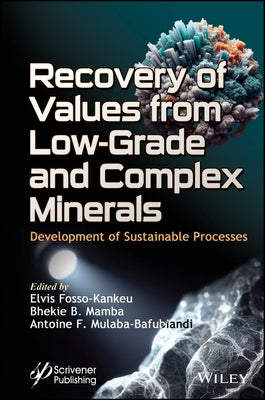 Recovery of Values from Low-Grade and Complex Minerals: Development of Sustainable Processes by Fosso-Kankeu, Elvis