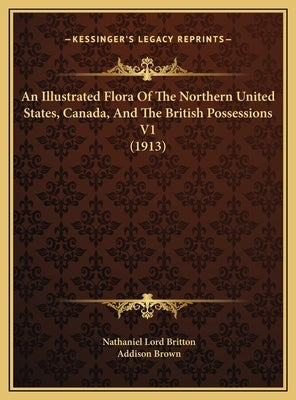 An Illustrated Flora Of The Northern United States, Canada, And The British Possessions V1 (1913) by Britton, Nathaniel Lord