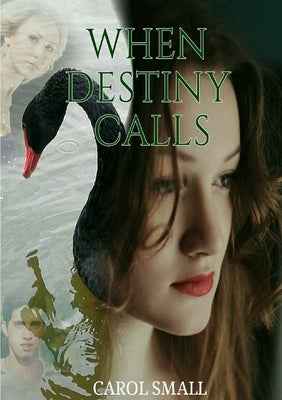 When Destiny Calls by Small, Carol