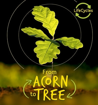 From Acorn to Tree by De La Bedoyere, Camilla