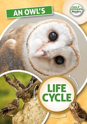 An Owl's Life Cycle by Tyler, Madeline