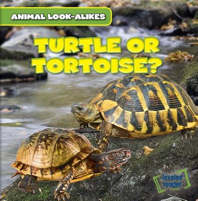 Turtle or Tortoise? by Ryndak, Rob