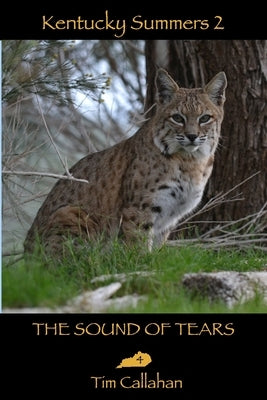 The Sound of Tears by Callahan, Tim