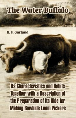 The Water Buffalo: Its Characteristics and Habits Together with a Description of the Preparation of Its Hide for Making Rawhide Loom Pick by Garland, H. P.