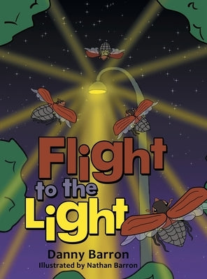 Flight to the Light by Barron, Danny
