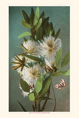 The Vintage Journal Eucalyptus Blossoms by Found Image Press