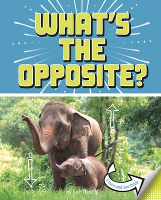 What's the Opposite?: A Turn-And-See Book by Meister, Cari