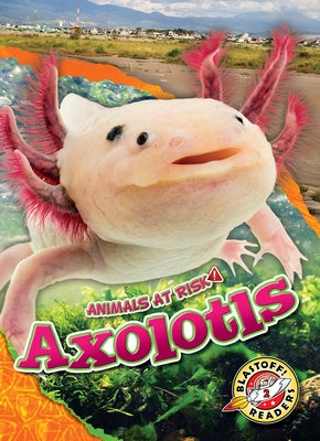 Axolotls by Grack, Rachel