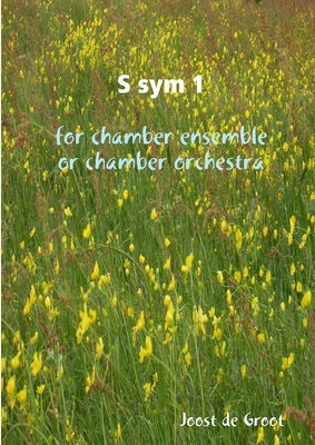 S sym 1 for chamber ensemble or chamber orchestra by De Groot, Joost