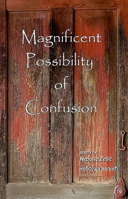 Magnificent Possibility of Confusion by Zeljic, Aleksa