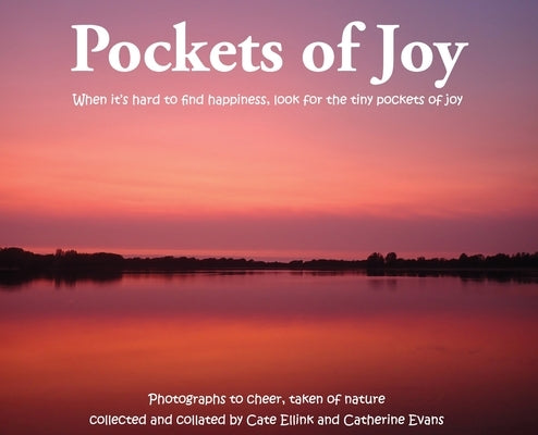 Pockets of Joy: When it's hard to find happiness, look for the tiny pockets of joy by Ellink, Cate