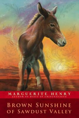 Brown Sunshine of Sawdust Valley by Henry, Marguerite
