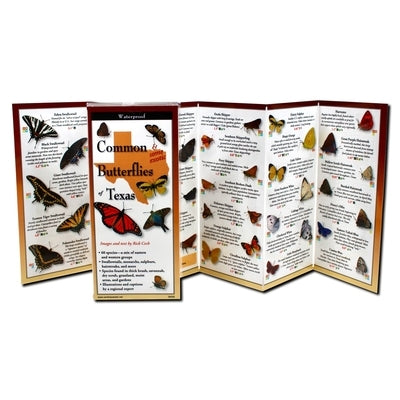 Common Butterflies of Texas by Cech, Rick