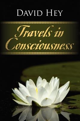 Travels in Consciousness by Hey, David