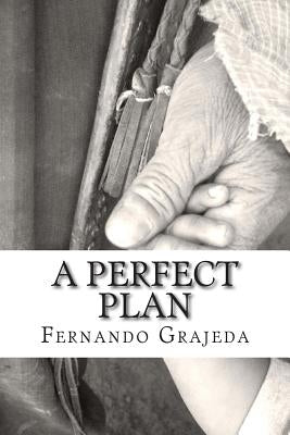 A Perfect Plan by Grajeda, Fernando