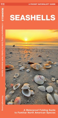 Seashells: A Waterproof Folding Guide to Familiar North American Species by Kavanagh, James