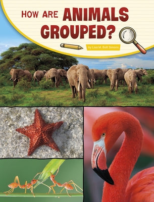 How Are Animals Grouped? by Simons, Lisa M. Bolt