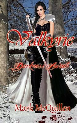 Valkyrie: Darkness Awaits by McQuillen, Mark