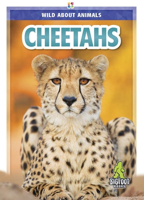 Cheetahs by Temple, Colton