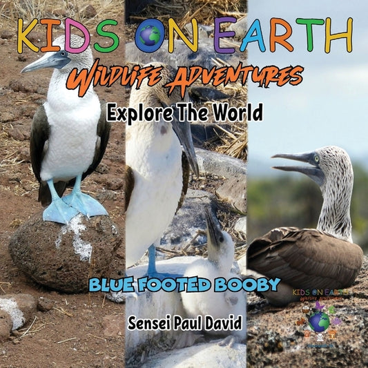 KIDS ON EARTH Wildlife Adventures - Explore The World Blue Footed Booby - Ecuador by David, Sensei Paul