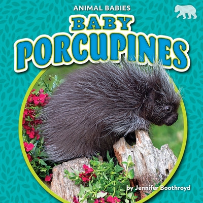 Baby Porcupines by Boothroyd, Jennifer