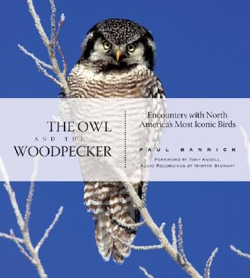 The Owl and the Woodpecker: Encounters with North America's Most Iconic Birds [With CD] by Bannick, Paul