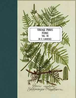 Vintage Prints: Ferns: Vol. 10 by Lawrence, E.