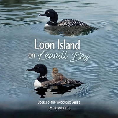 Loon Island on Leavitt Bay: The Woodland Series Book 3 by Videtto, Dg