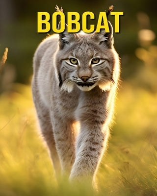 Bobcat: Fun and Amazing Pictures About Bobcat by Pharo, Susan