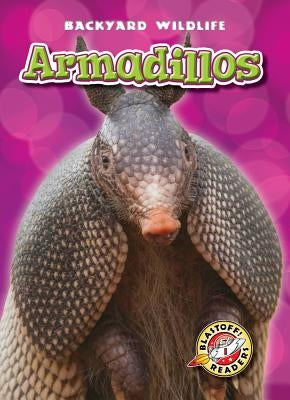 Armadillos by Schuetz, Kari