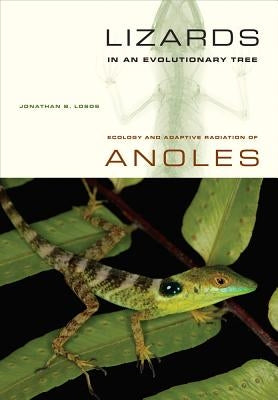 Lizards in an Evolutionary Tree: Ecology and Adaptive Radiation of Anolesvolume 10 by Losos, Jonathan