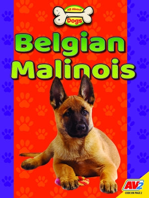 Belgian Malinois by Gillespie, Katie