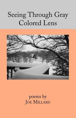 Seeing Through Gray Colored Lens by Millard, Joe