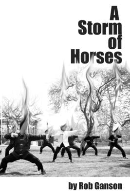 A Storm of Horses by Ganson, Rob